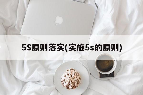 5S原则落实(实施5s的原则)