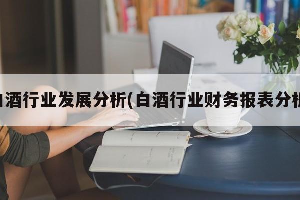 白酒行业发展分析(白酒行业财务报表分析)